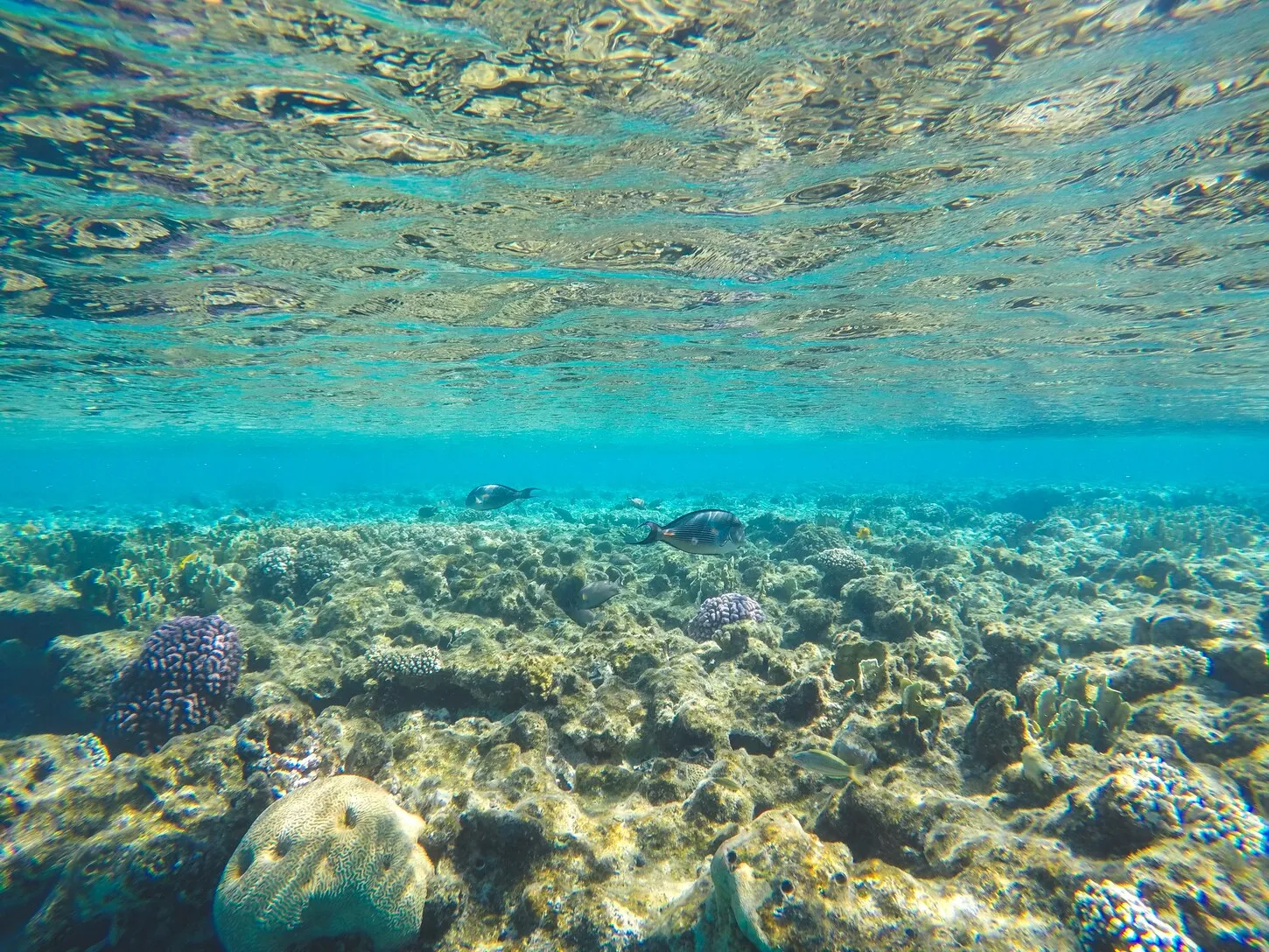 Hurghada – Iterináre záver