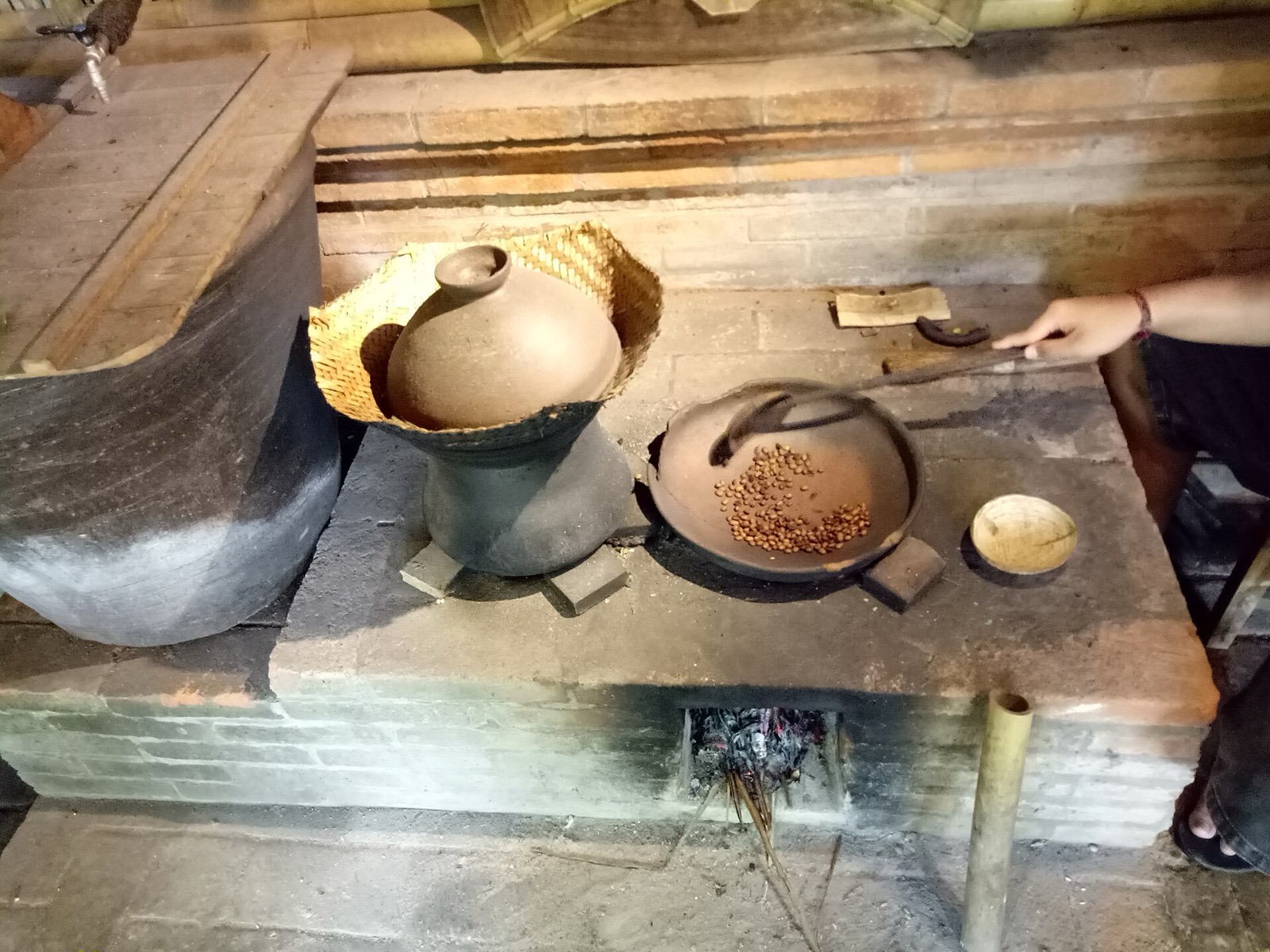 Kávová plantáž na Bali