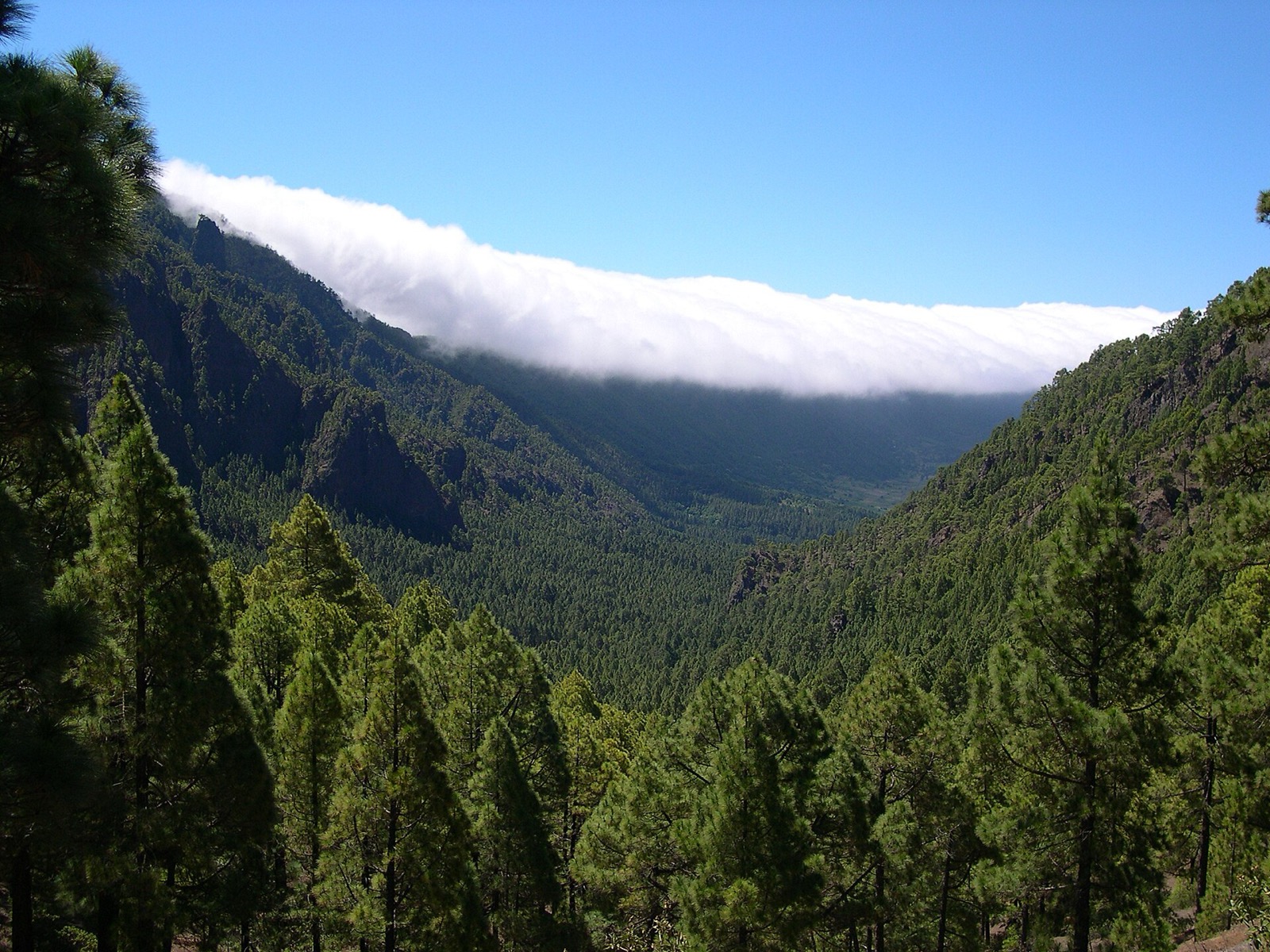 Caldera de Taburiente na ostrove La Palma