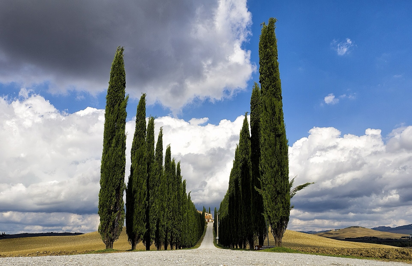 Cyprusy v údolí Val d'Orcia v Toskánsku