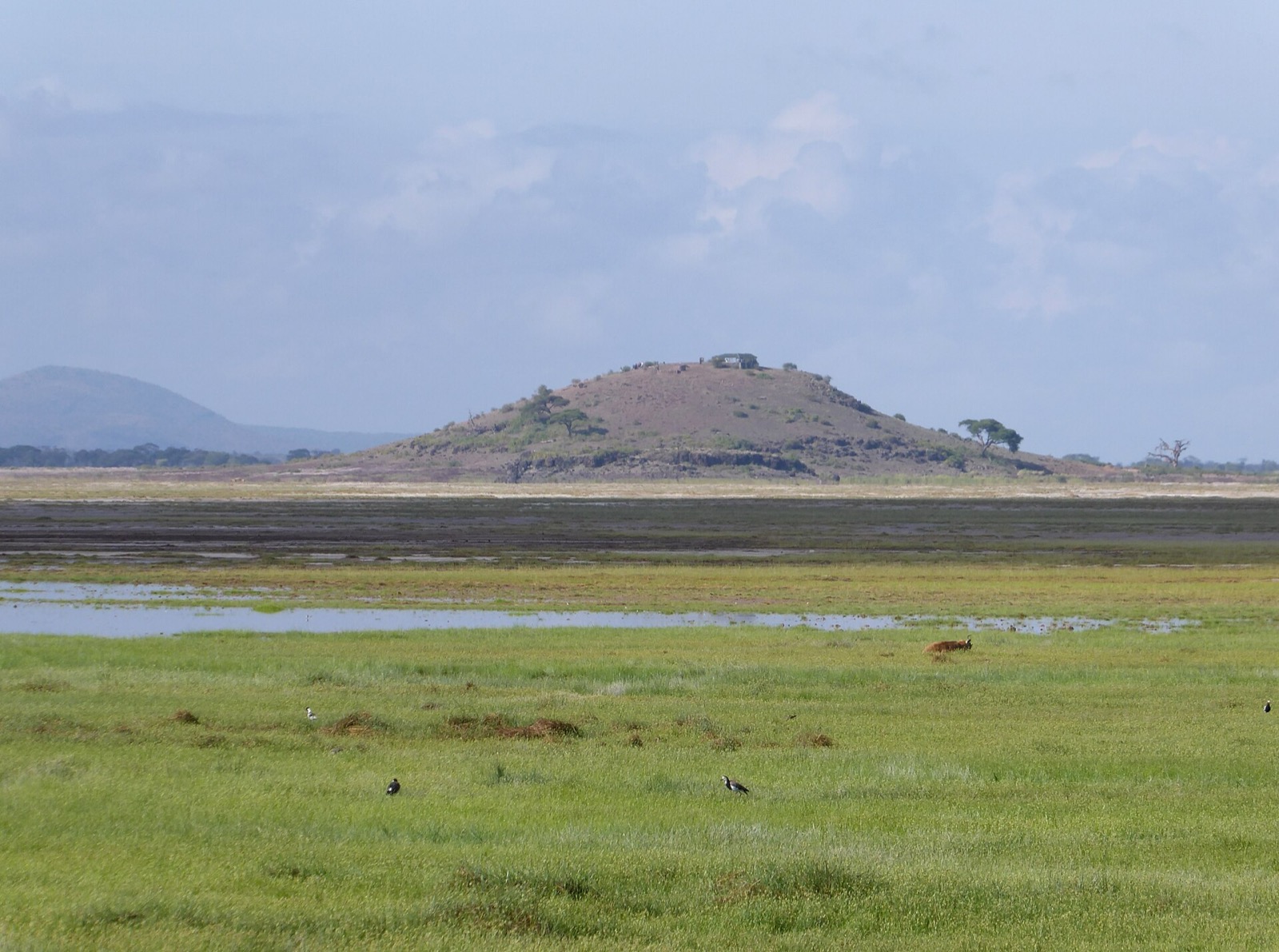 Vyhliadka Observation Hill v Amboseli
