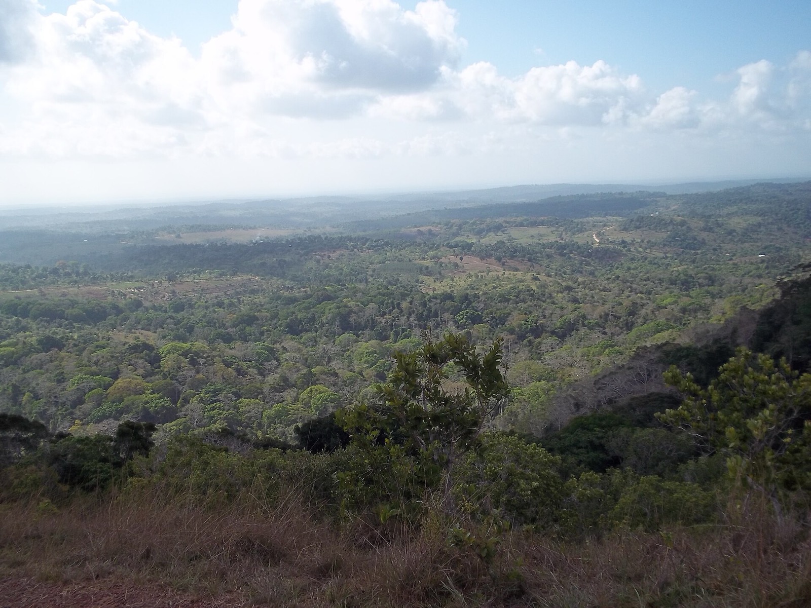 Shimba Hills