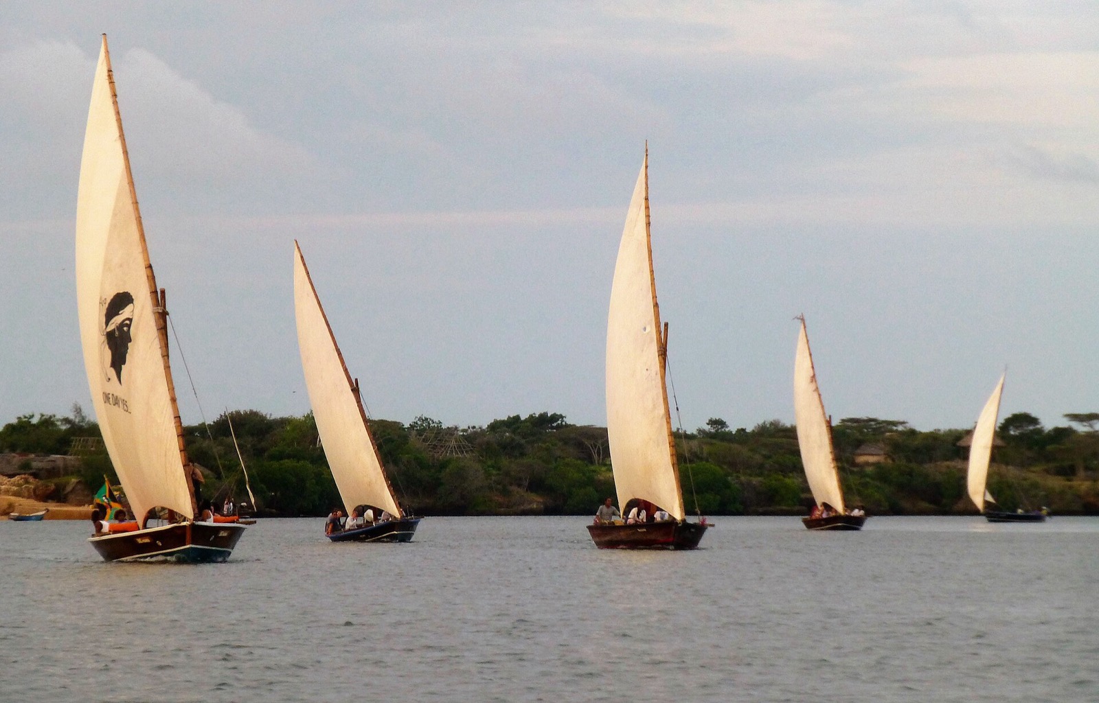 Plachetnica dhow pri Lamu
