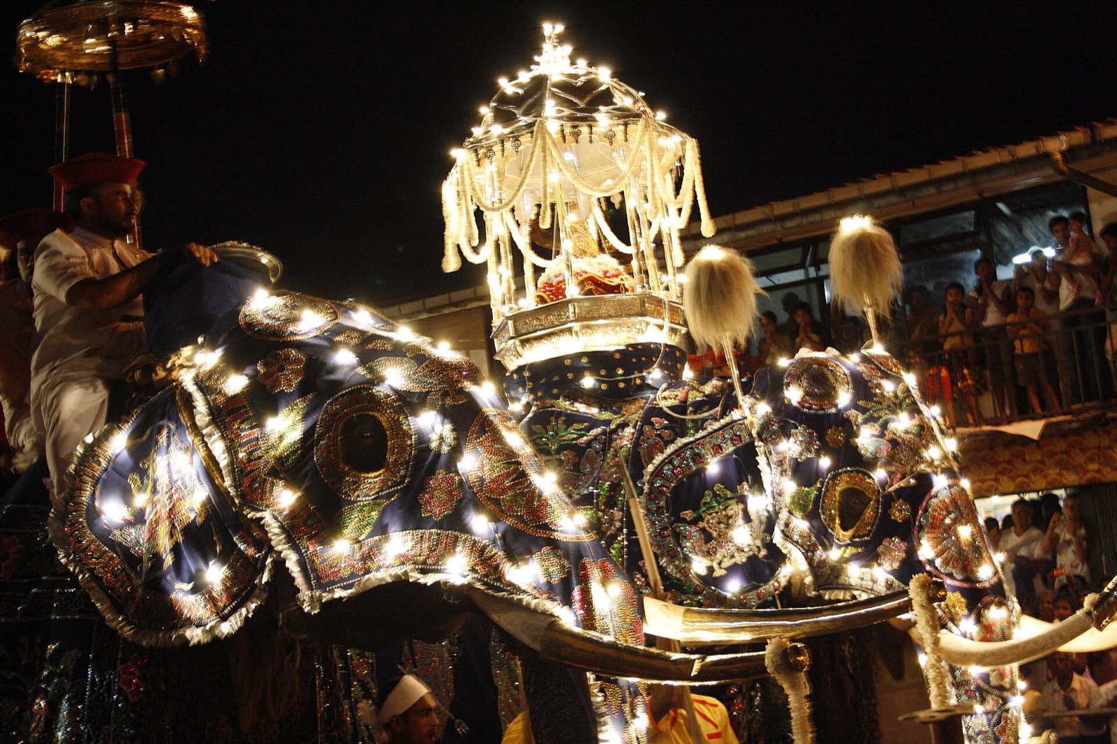Slony na sprievode Esala Perahera