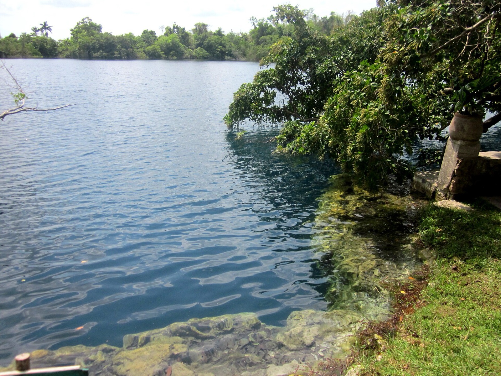 Cenote Azul pri Bacalare