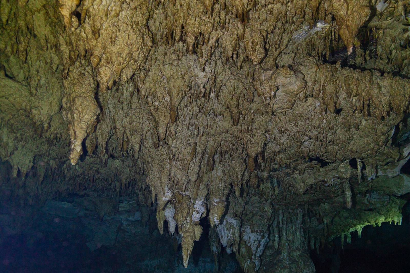Cenote Dos Ojos