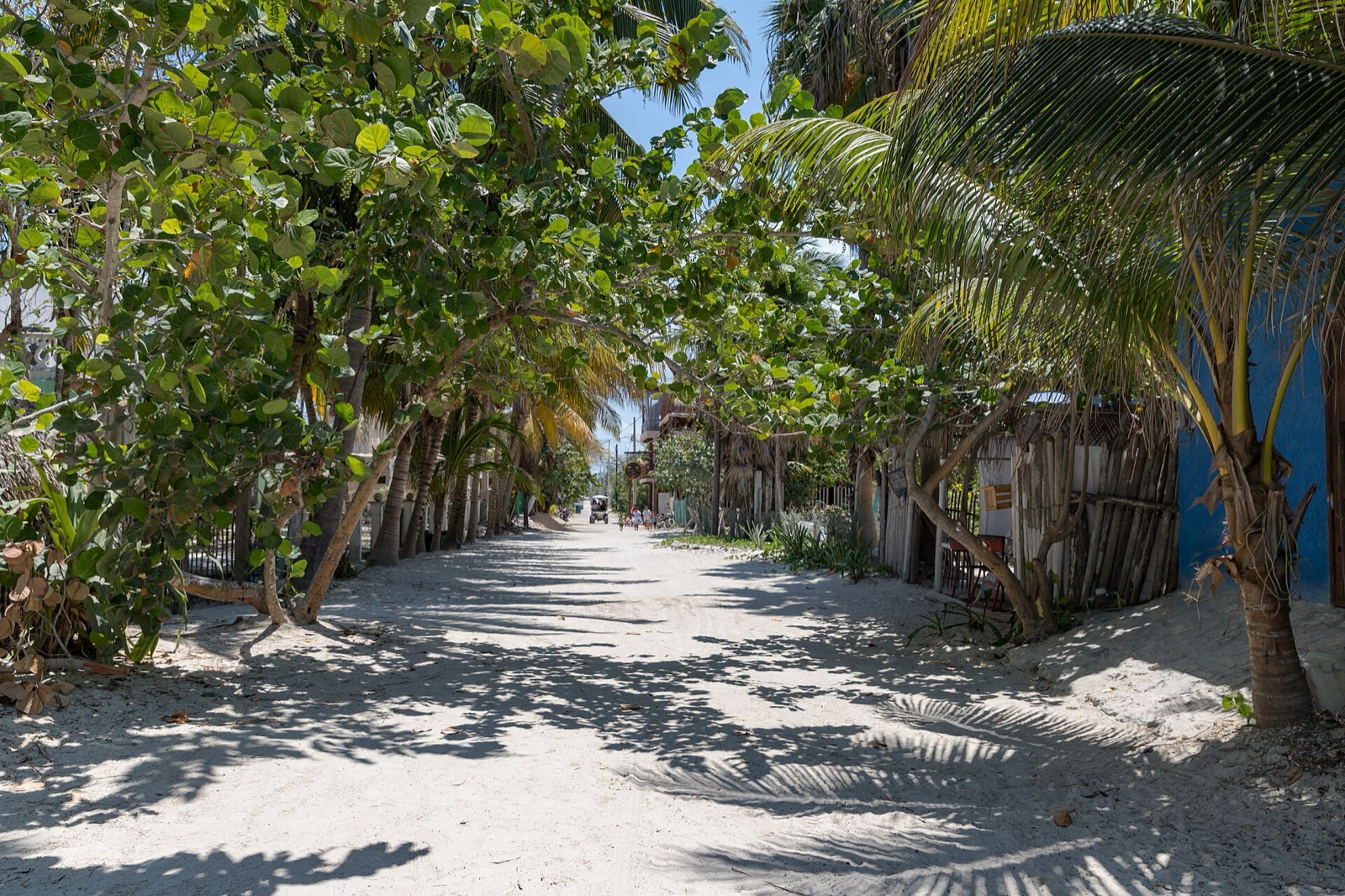 Ulica na ostrove Holbox