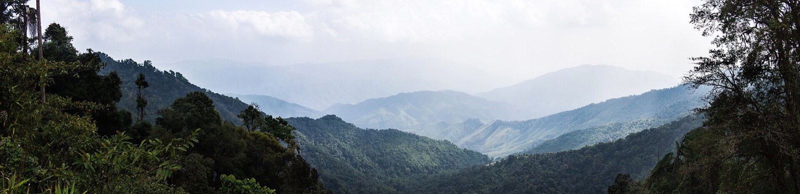 Zalesnené hory národného parku Doi Phu Kha