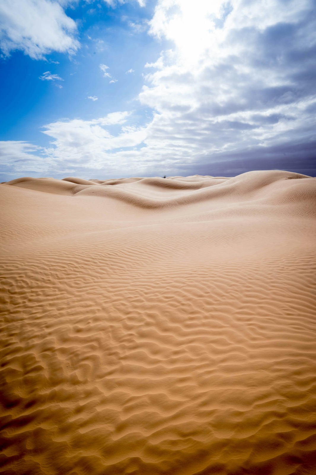 Sahara a Tatooine: duny pri Douze, noc v oáze, soľné jazero Chott el-Jerid a kulisy Hviezdnych vojen