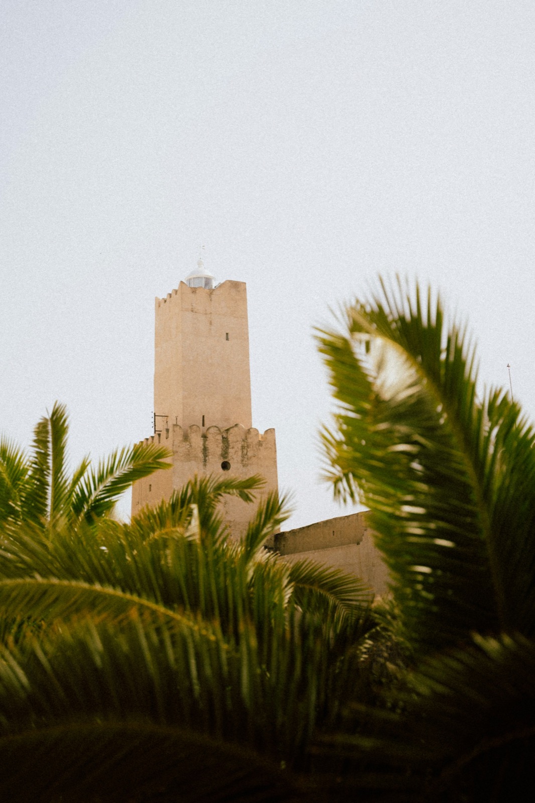 Veža Khalef al-Fata na kasbe v Sousse medzi palmami