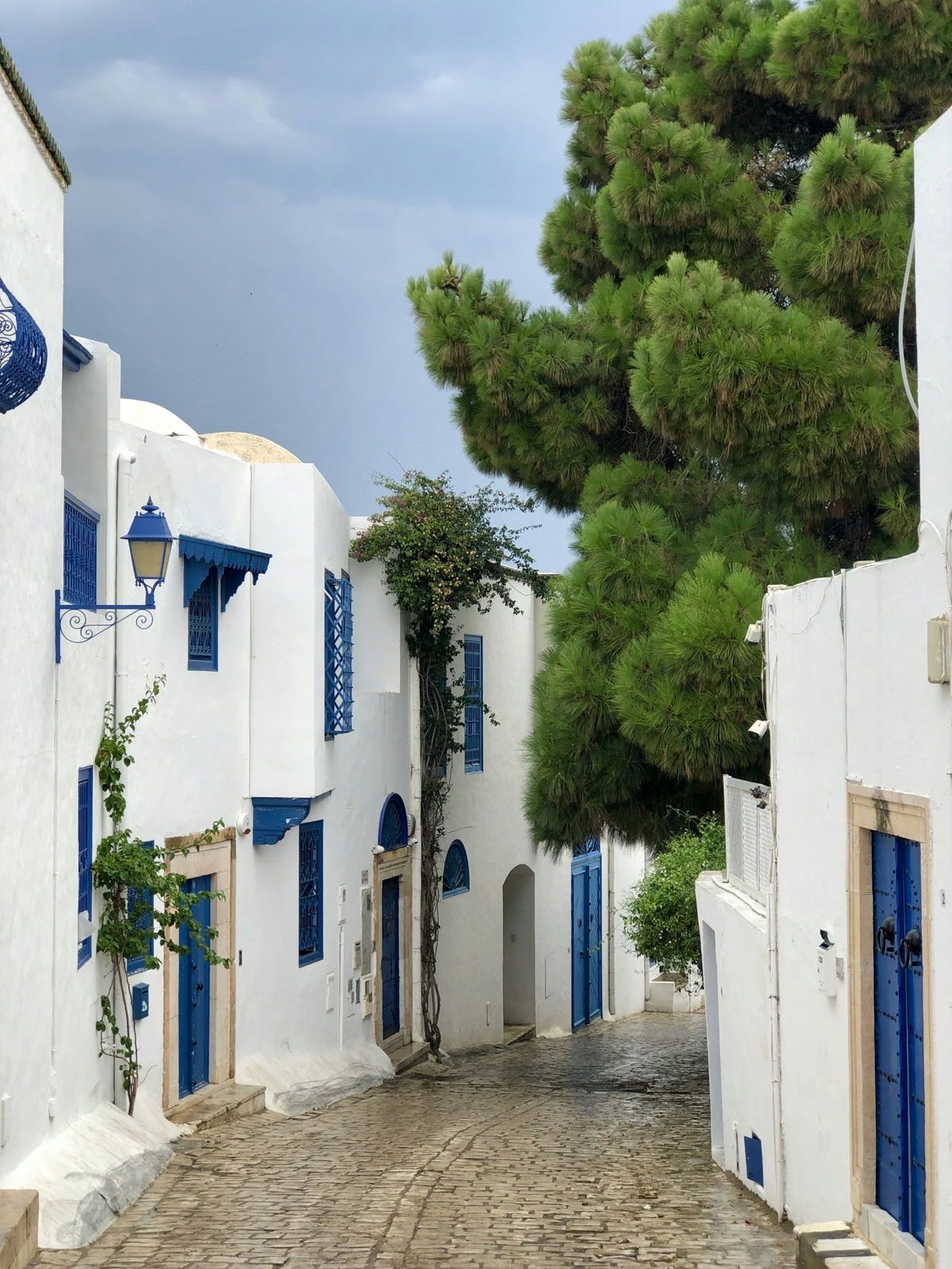 Biela ulička s modrými okenicami v Sidi Bou Said