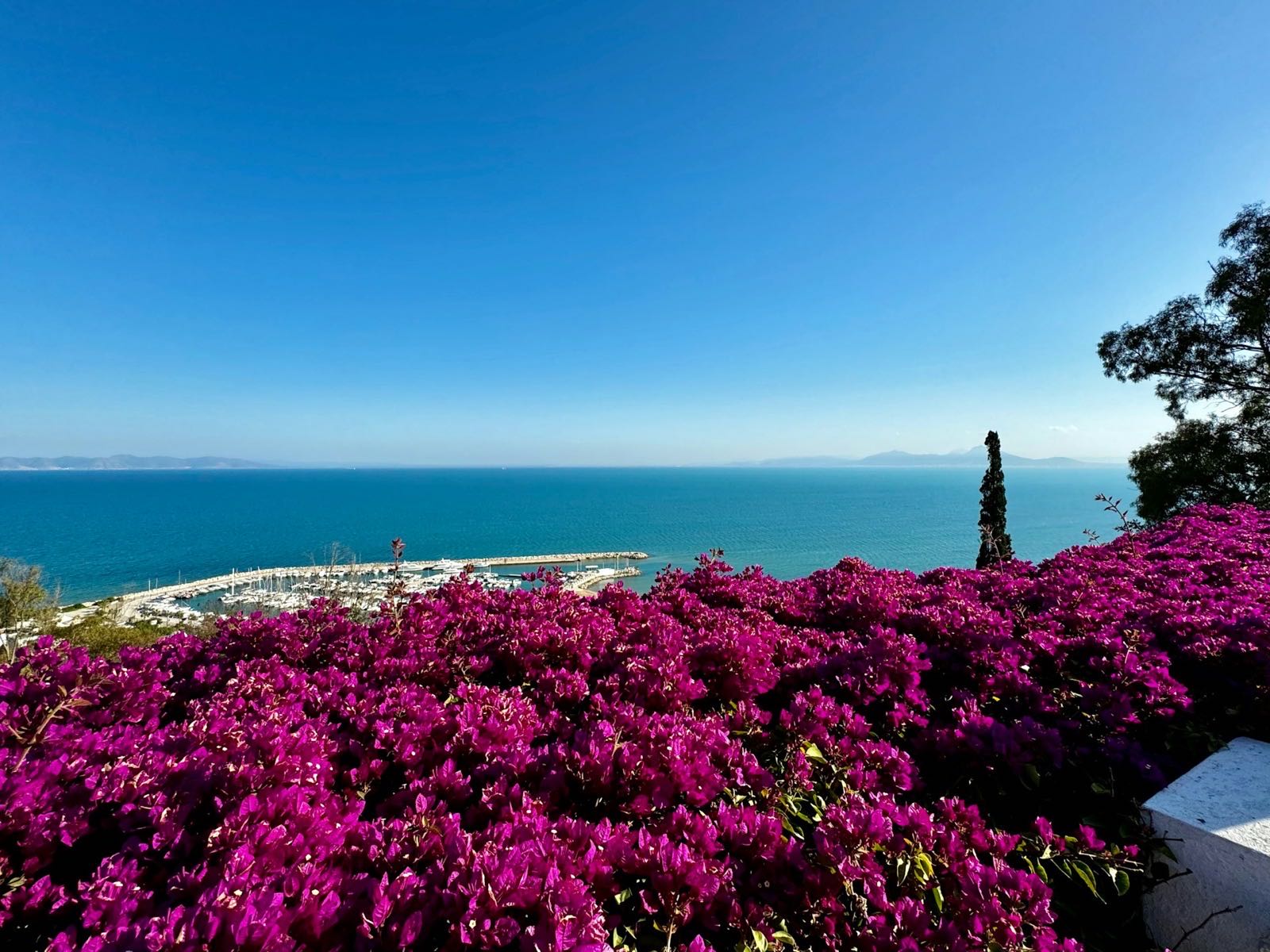 Biele domy, modré okenice a kvitnúca bugénvilea nad zálivom v Sidi Bou Said