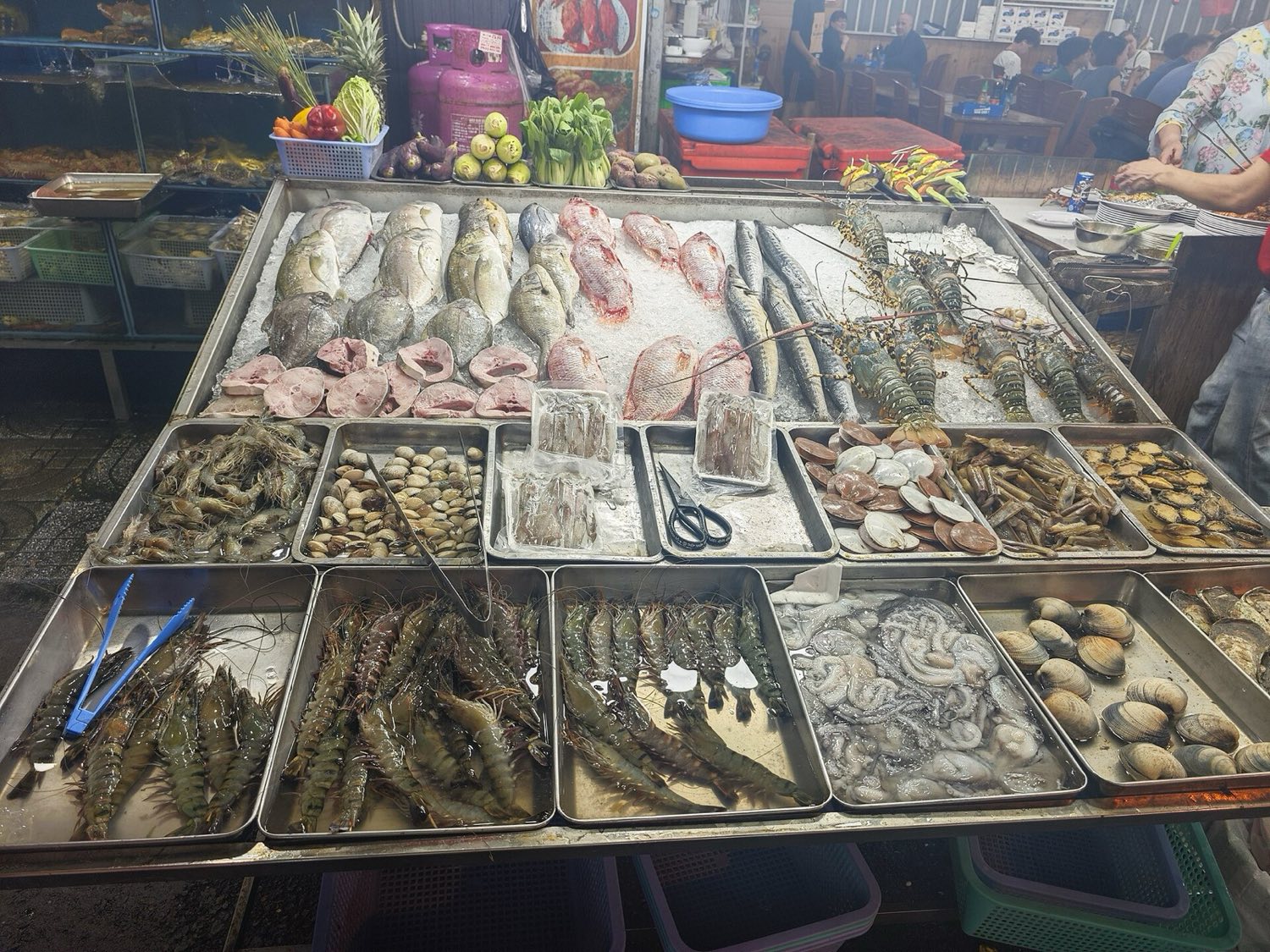 Ryby na nočnom trhu na Phu Quocu