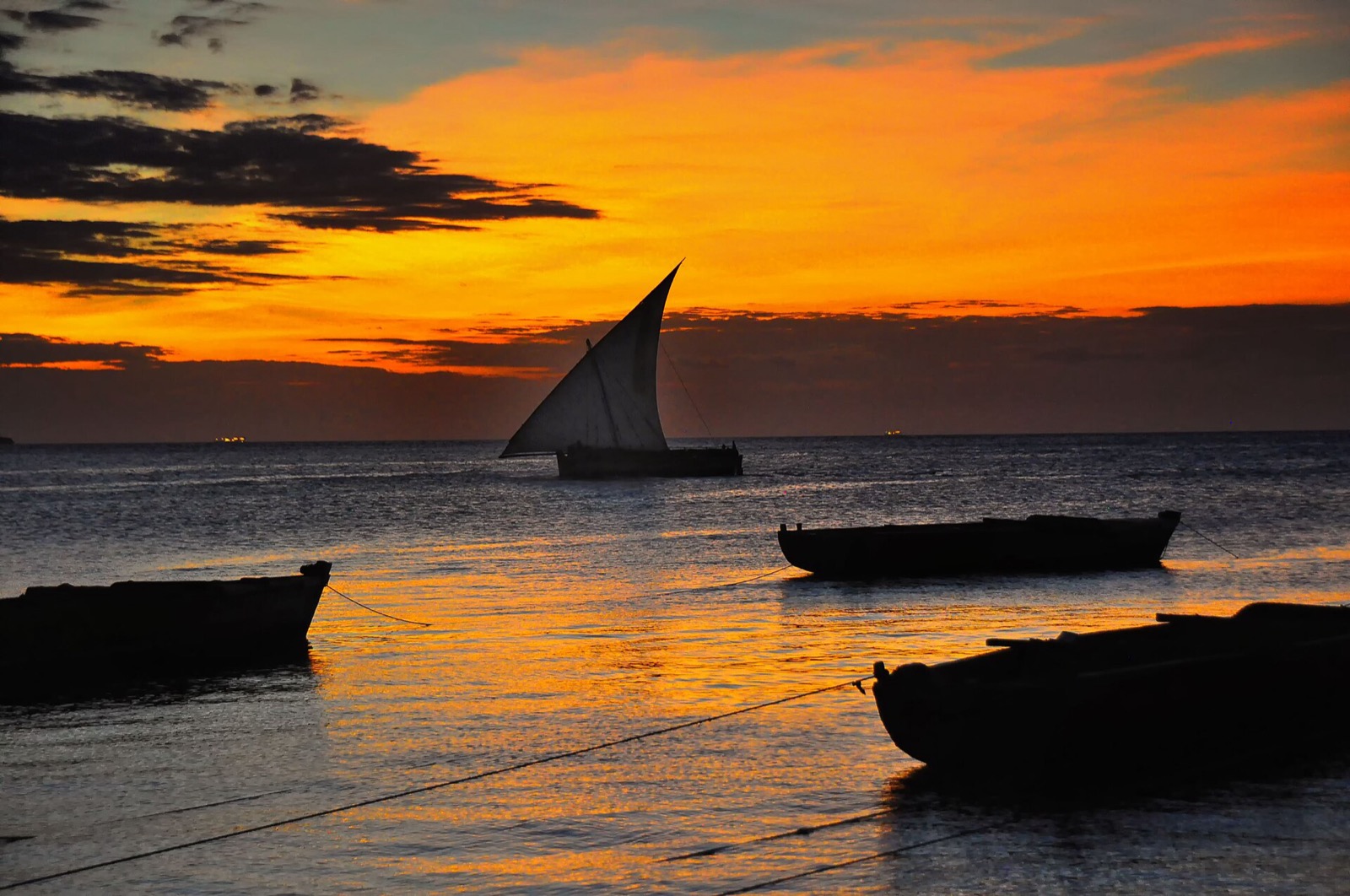 Plachetnica dhow pri západe slnka pri Zanzibare
